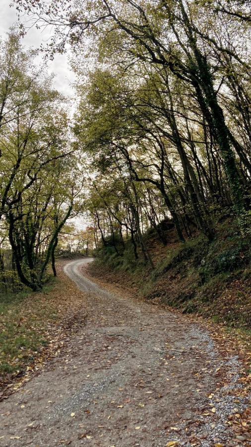 La Fonte Di Gaiche Vendégház Piegaro Kültér fotó