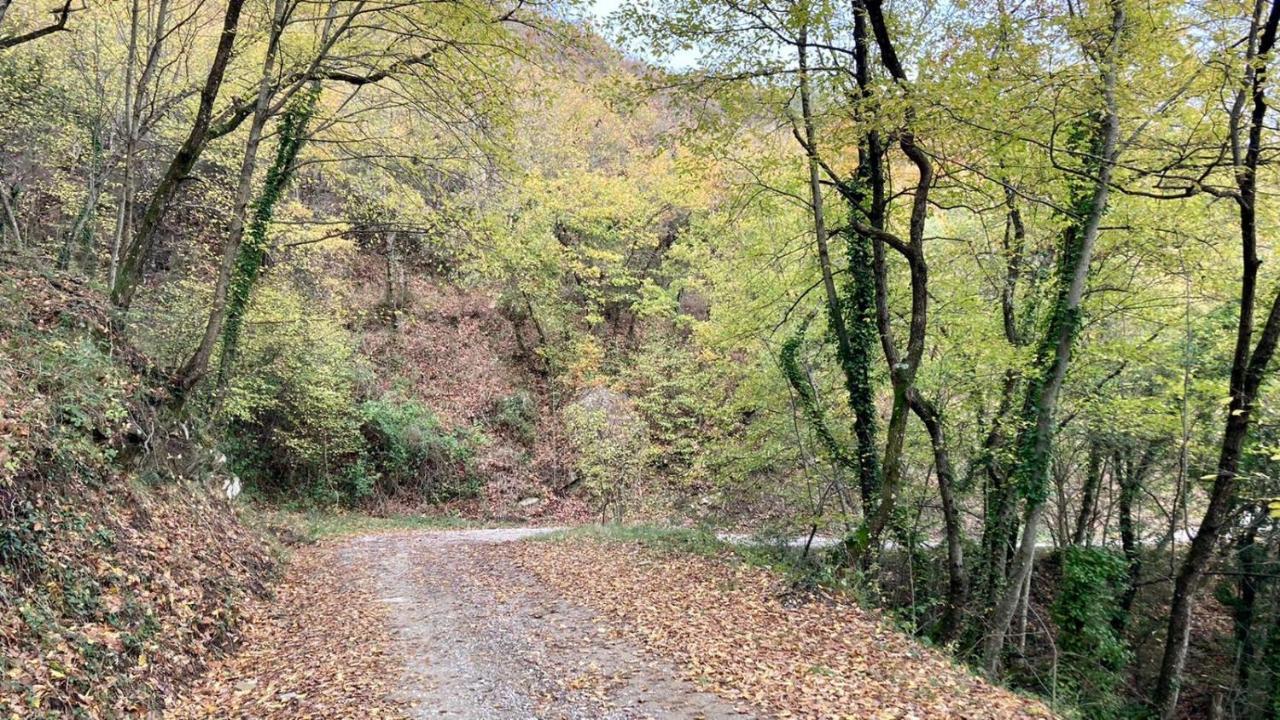 La Fonte Di Gaiche Vendégház Piegaro Kültér fotó